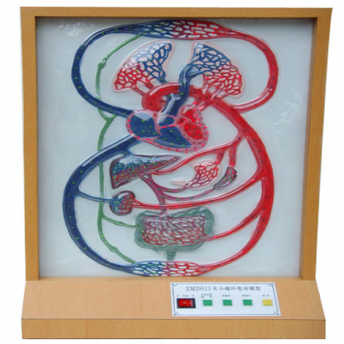大、小循環(huán)電動(dòng)模型